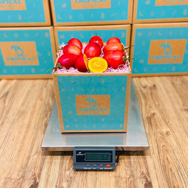 3lbs Tree Tomato